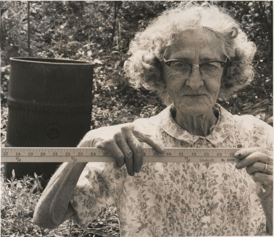 Mrs. Higginbotham